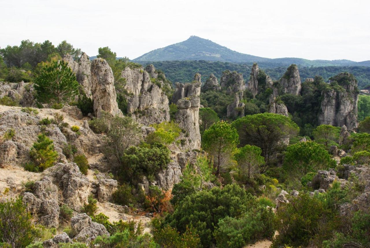 "Le Cocon"-Meuble De Tourisme 3 Etoiles -Residence "Les Logis De Beziers"-Garage Optionnel-Coeur De Ville-Plages A 16Km ! Eksteriør billede